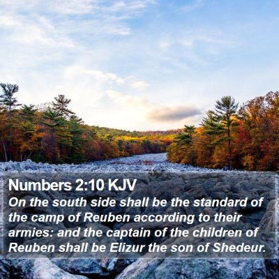 Numbers 2:10 KJV Bible Verse Image