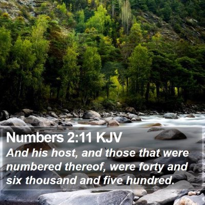 Numbers 2:11 KJV Bible Verse Image