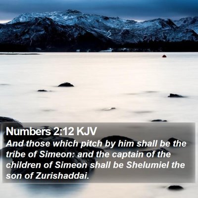 Numbers 2:12 KJV Bible Verse Image
