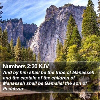 Numbers 2:20 KJV Bible Verse Image