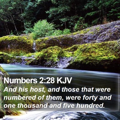 Numbers 2:28 KJV Bible Verse Image