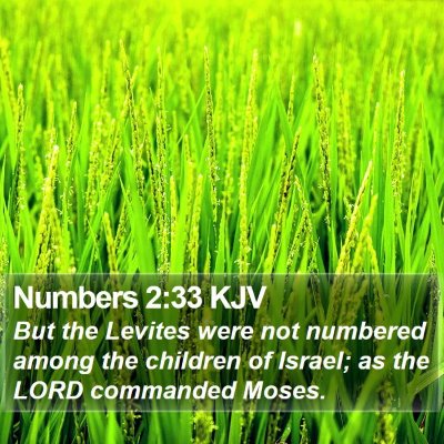 Numbers 2:33 KJV Bible Verse Image