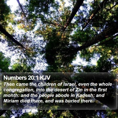 Numbers 20:1 KJV Bible Verse Image