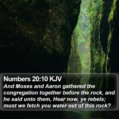 Numbers 20:10 KJV Bible Verse Image