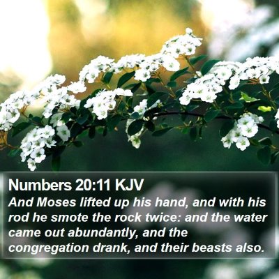 Numbers 20:11 KJV Bible Verse Image