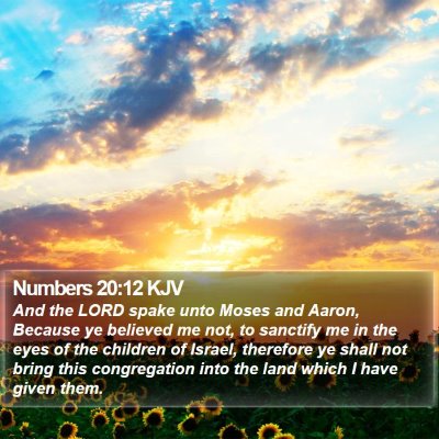 Numbers 20:12 KJV Bible Verse Image