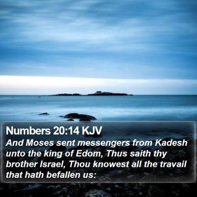 Numbers 20:14 KJV Bible Verse Image
