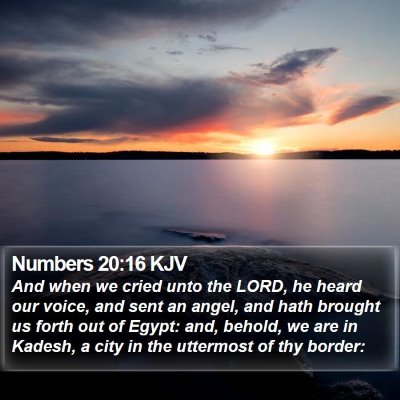 Numbers 20:16 KJV Bible Verse Image