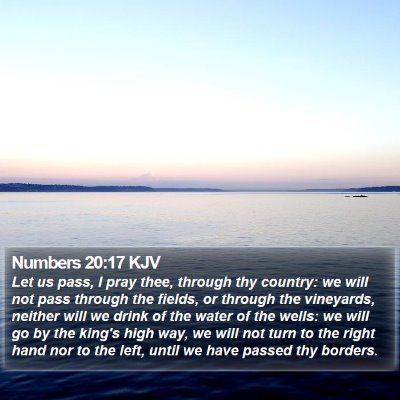 Numbers 20:17 KJV Bible Verse Image
