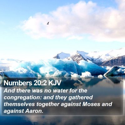 Numbers 20:2 KJV Bible Verse Image