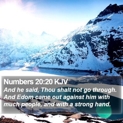 Numbers 20:20 KJV Bible Verse Image