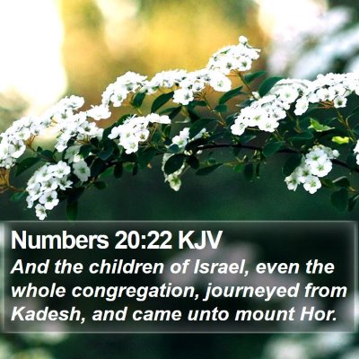 Numbers 20:22 KJV Bible Verse Image