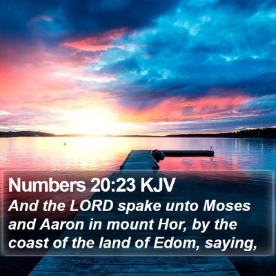 Numbers 20:23 KJV Bible Verse Image