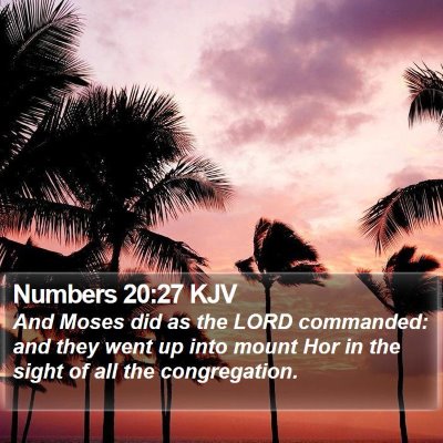 Numbers 20:27 KJV Bible Verse Image