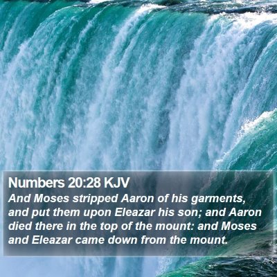 Numbers 20:28 KJV Bible Verse Image