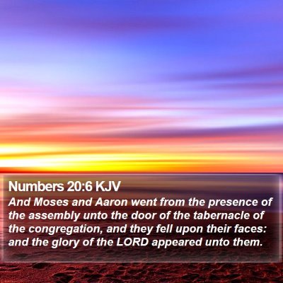 Numbers 20:6 KJV Bible Verse Image