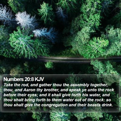 Numbers 20:8 KJV Bible Verse Image