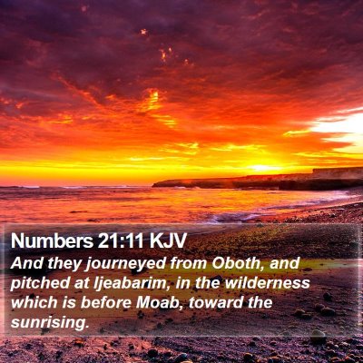Numbers 21:11 KJV Bible Verse Image