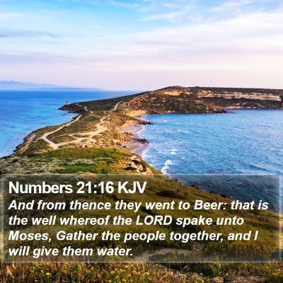 Numbers 21:16 KJV Bible Verse Image