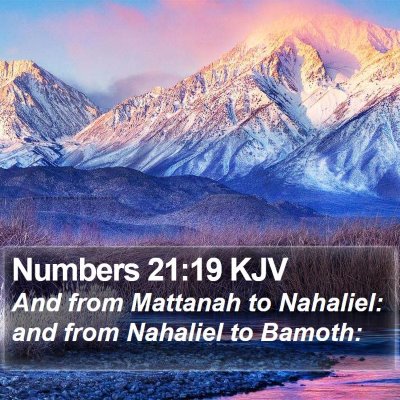 Numbers 21:19 KJV Bible Verse Image