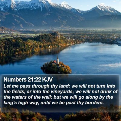 Numbers 21:22 KJV Bible Verse Image