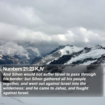 Numbers 21:23 KJV Bible Verse Image