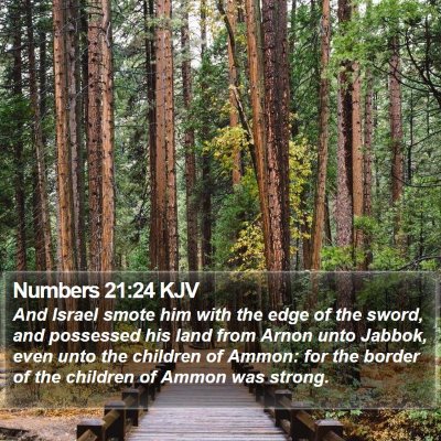 Numbers 21:24 KJV Bible Verse Image