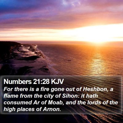Numbers 21:28 KJV Bible Verse Image