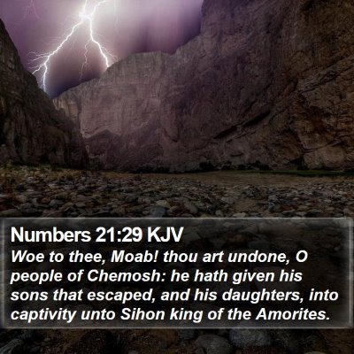 Numbers 21:29 KJV Bible Verse Image