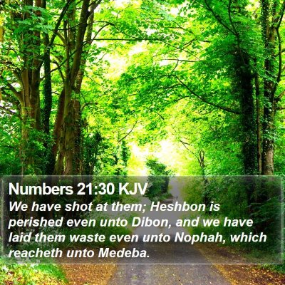 Numbers 21:30 KJV Bible Verse Image