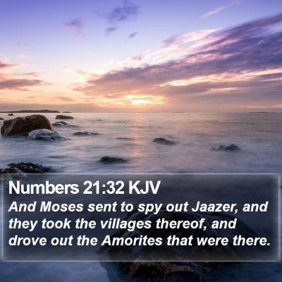 Numbers 21:32 KJV Bible Verse Image