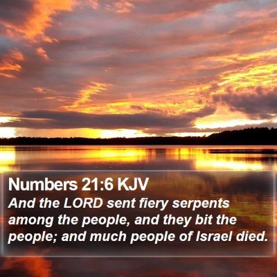 Numbers 21:6 KJV Bible Verse Image
