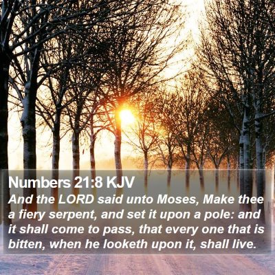 Numbers 21:8 KJV Bible Verse Image