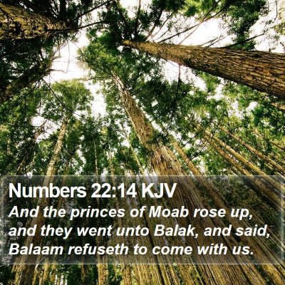Numbers 22:14 KJV Bible Verse Image