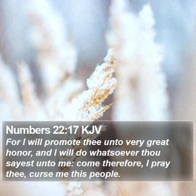Numbers 22:17 KJV Bible Verse Image