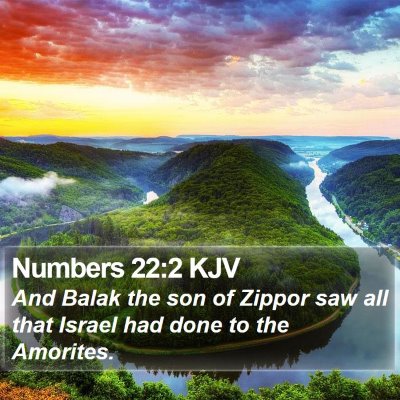 Numbers 22:2 KJV Bible Verse Image