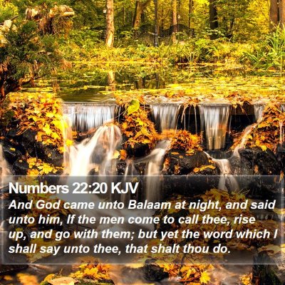 Numbers 22:20 KJV Bible Verse Image