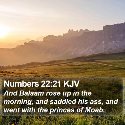 Numbers 22:21 KJV Bible Verse Image