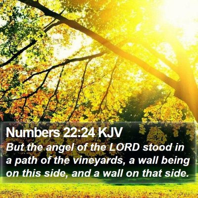 Numbers 22:24 KJV Bible Verse Image