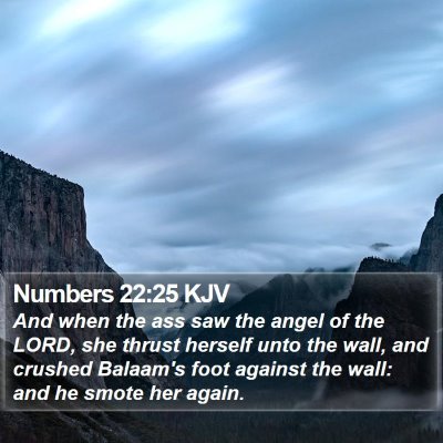 Numbers 22:25 KJV Bible Verse Image