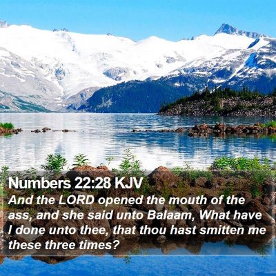 Numbers 22:28 KJV Bible Verse Image