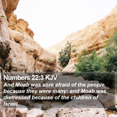Numbers 22:3 KJV Bible Verse Image
