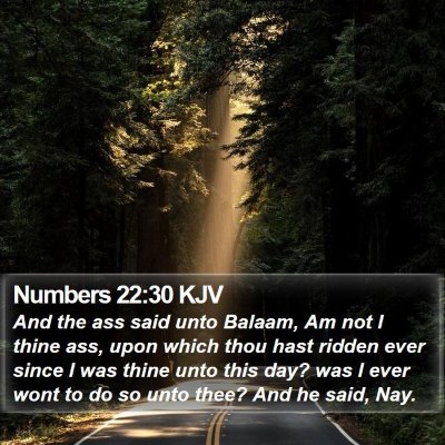 Numbers 22:30 KJV Bible Verse Image