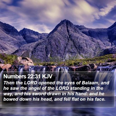 Numbers 22:31 KJV Bible Verse Image