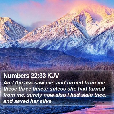 Numbers 22:33 KJV Bible Verse Image