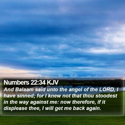 Numbers 22:34 KJV Bible Verse Image