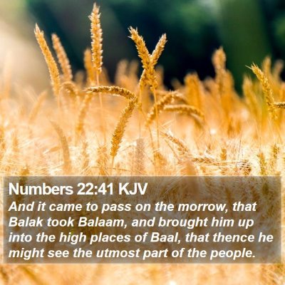 Numbers 22:41 KJV Bible Verse Image