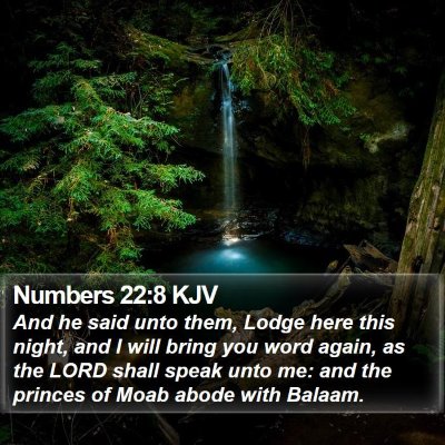 Numbers 22:8 KJV Bible Verse Image