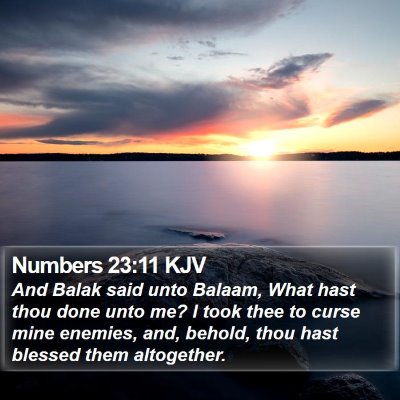 Numbers 23:11 KJV Bible Verse Image