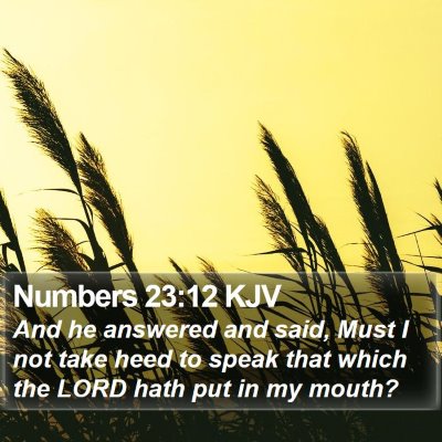 Numbers 23:12 KJV Bible Verse Image